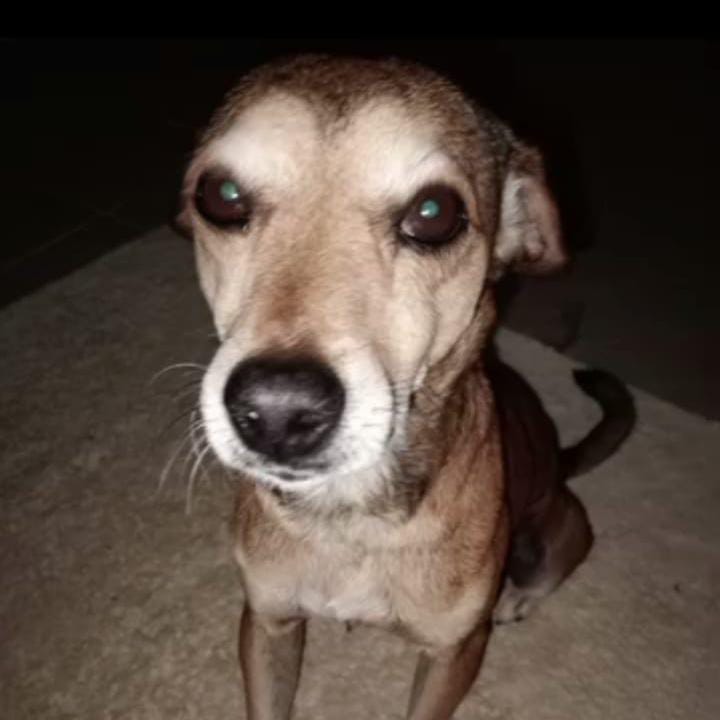 Família procura por João, desaparecido há 8 dias